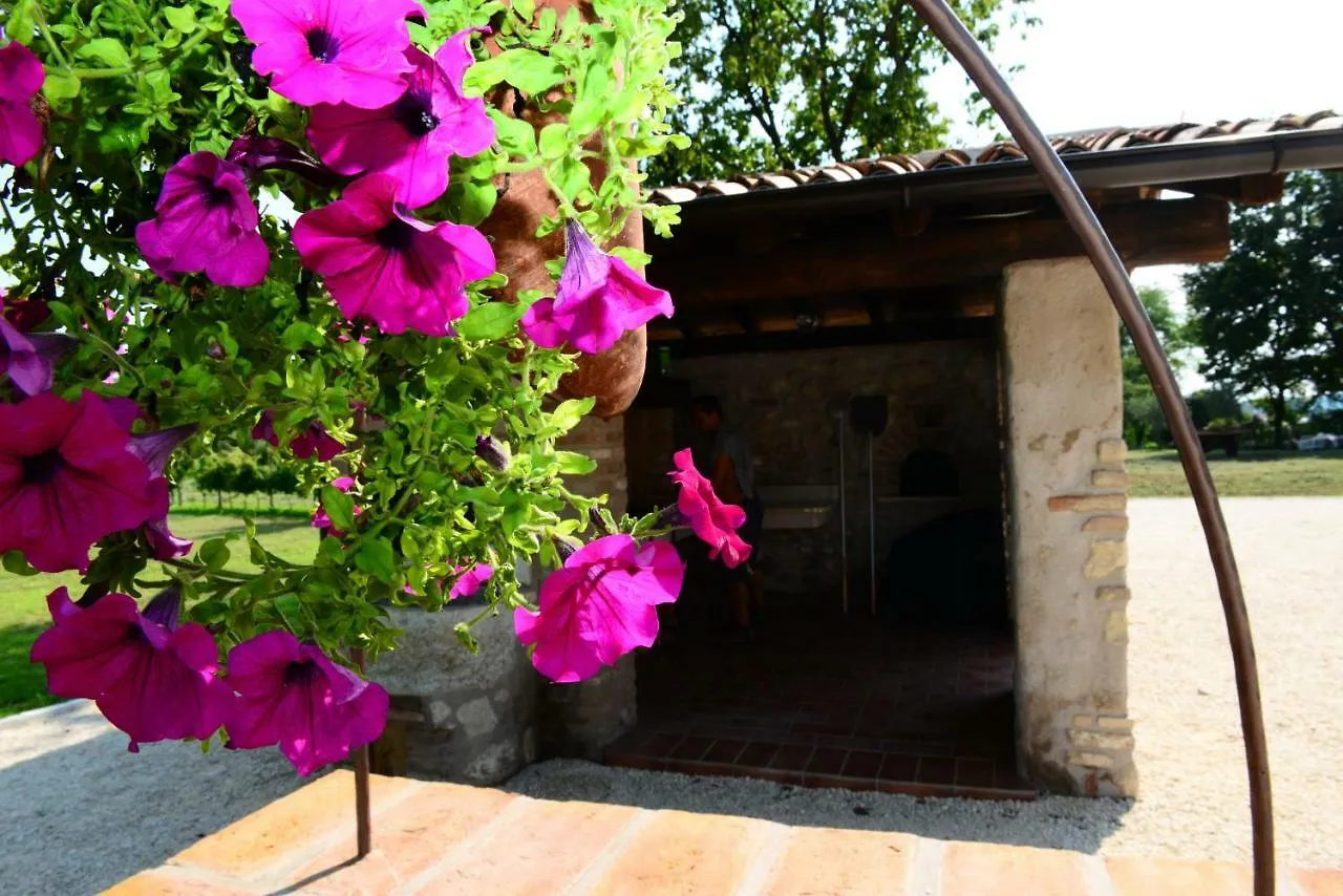 Vakantieboerderij Corte Davini Agriturismo Monzambano Italië