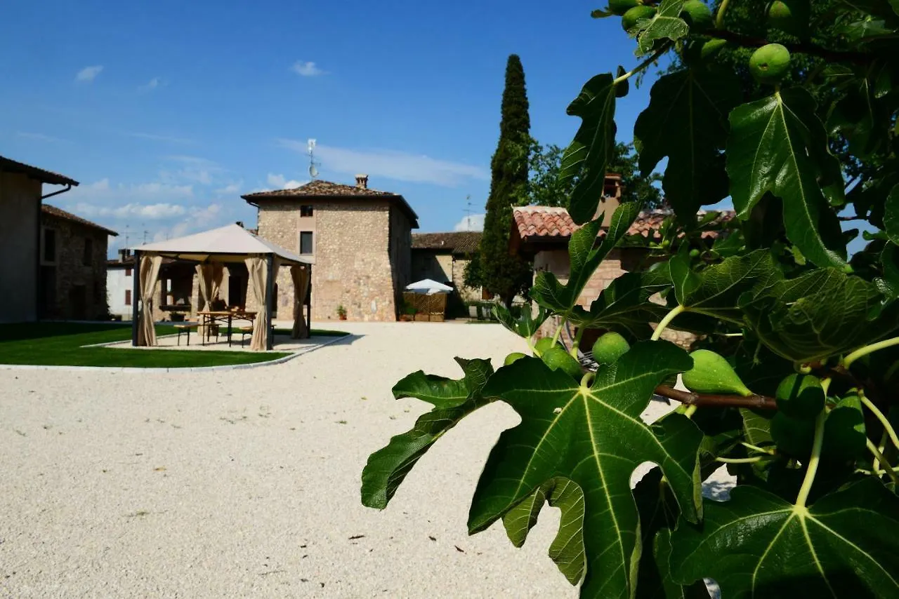 Corte Davini Agriturismo Monzambano Farma