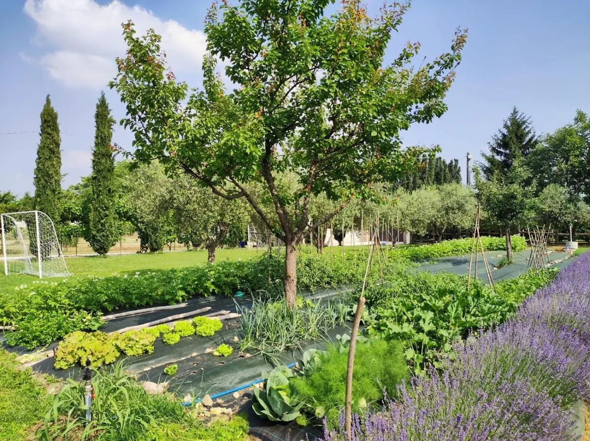 Farm stay Corte Davini Agriturismo Monzambano Italy